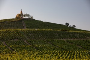 fleurie